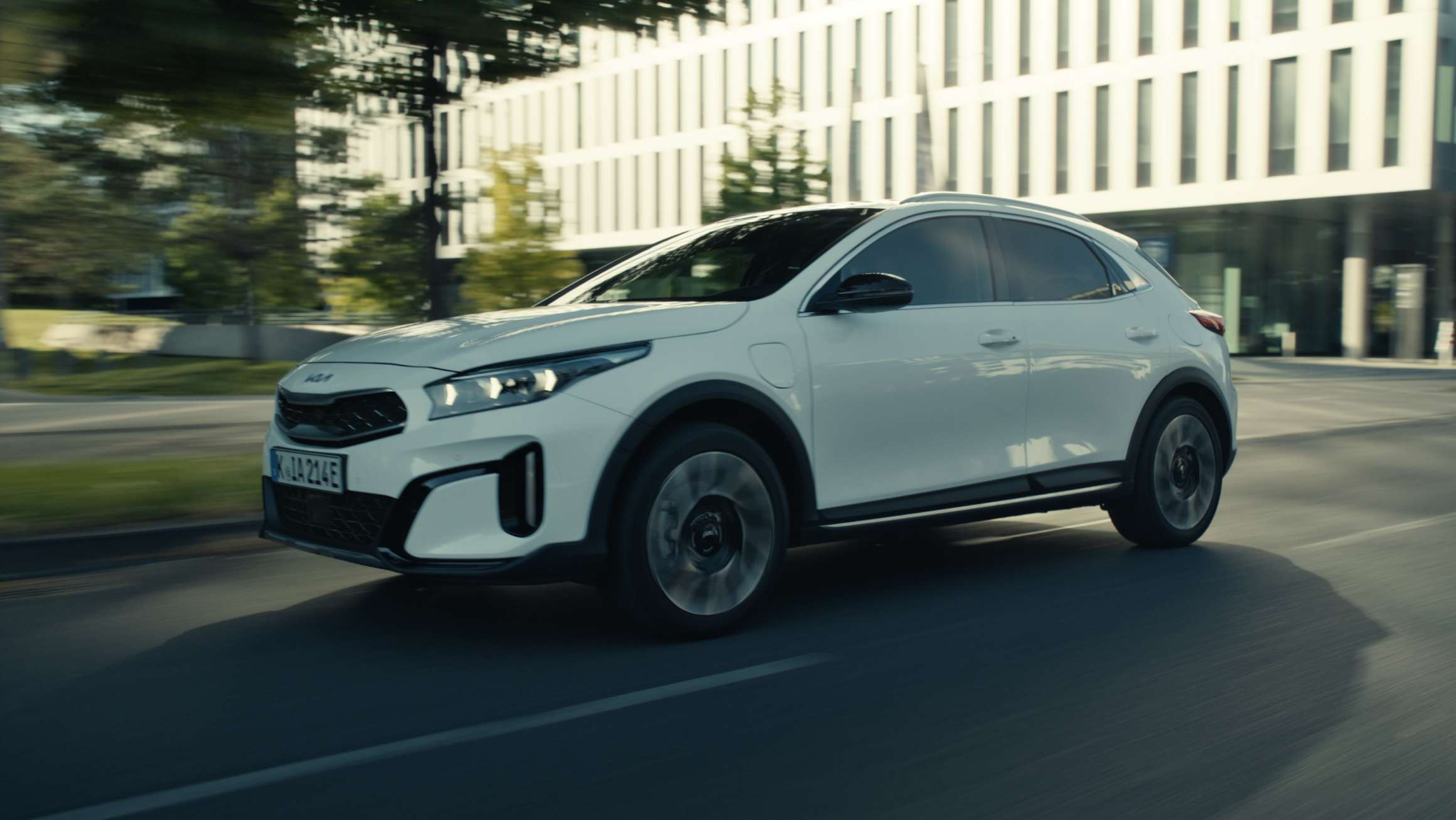 Curvy road in a forest.